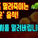 세포식당 이미지
