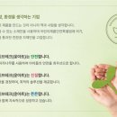 신가초등학교 병설유치원 네이버블로그