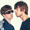 오아시스 이미지