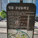 무안파크골프장 | 명품 강남둘레길 2코스 : 생태 하천길(여름) 탐방 후기(2025. 08. 27)
