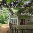 (주)무등산행 | [광주] 무등산 지산유원지 리프트 &amp; 모노레일 주말 후기 | 조선대 장미원 개화상태까지(5.23)