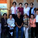 강신성일 카카오 검색결과