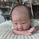 나비골작은세상