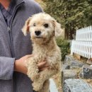 칠전대우2차 이미지