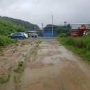 대곡면-1 이미지