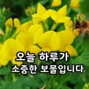 토요일 이미지