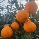 갈매농장 이미지