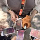 VIP 대대클럽 | 베트남 푸꾸옥 4박 6일 가족여행 (2일차 : 빈펄 사파리 프리미엄 VIP, 그랜드월드)