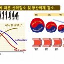 오바이오 이미지