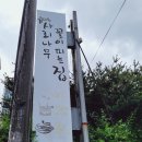 사리나무꽃이피는집 이미지