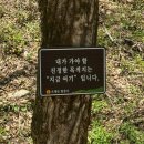 제2구경길 금강산 해탈의 길 | [오대산 월정사] 바쁜 일상에서 잠시 벗어나 지금 여기로