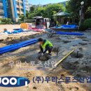 서울중흥초등학교 이미지