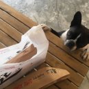 견사무소 호텔 유치원 이미지