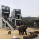 까사모로 이미지