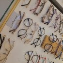 이미지안경콘택트 이미지