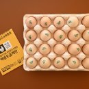 영월동물복지농장 이미지