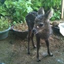 테라롯지 이미지