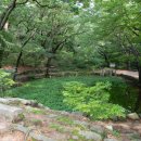 [서울] 북악산 북쪽 자락에 숨겨진 상큼한 별천지, 부암동 백사실계곡 (부암동 백석동천, 백사폭포) 이미지