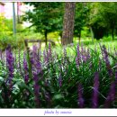 새암공원 이미지