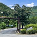 고란길(길안면) 이미지