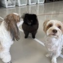 하울팟 한남점 이미지