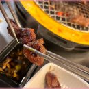 신마포갈매기 이미지