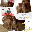 세인트동물병원 | 🎂 수원 백일·돌 사진 잘 찍는 곳 찾는다면? 꿈사랑 스튜디오 호매실점 찐후기