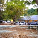 장흥생활체육공원 축구장 이미지