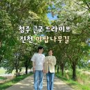 성전교 이미지