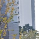 서울종합행정사LK사무소 이미지