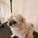 하남대로787번길 이미지