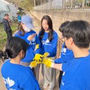 내곡동467 이미지