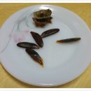 맥섬석홍보관 이미지