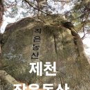 소나무동산 | 제천작은동산
