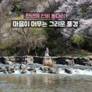 진천군청소년수련원 | 충북 진천 벚꽃 시즌 가볼만한 곳과 농다리 축제장 기본정보 소개