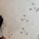 옴뜨