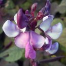 감골1로 이미지