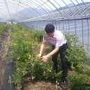 남해비엔비 이미지