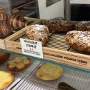 갸또마마 이미지