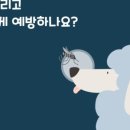 정직 동물병원 이미지