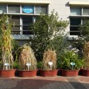 관문초등학교 이미지