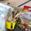 십일얼 구십십일일 일상