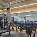 레드핏 | 선유도 헬스장 선유도 pt 레드핏휘트니스 프리미엄 한달 이용 후기