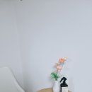 풀잎향기 | 향기 하나로 분위기가 달라진다, 퍼퓨 룸스프레이 클린스모크 사용기!!