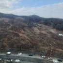 디앤아이공인중개사사무소 이미지