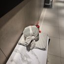 (주)더케어 산후조리원 이미지