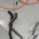 개미카센타 이미지