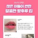 오달자 이미지