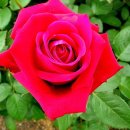 그림자호수 이미지