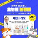 오늘펫
